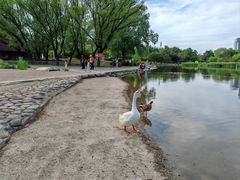-太阳宫公园