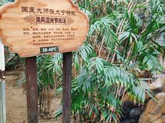 -龙达温泉生态城