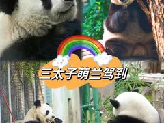 -北京动物园