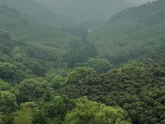 -东明山森林公园