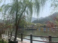 -黄陂区野村谷景区