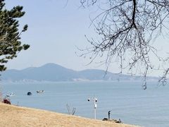 -悦海公园