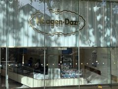 -哈根达斯(武汉天地店)