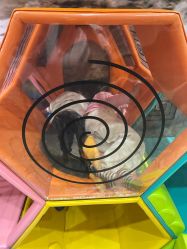 -卡通尼·Safari非洲探索乐园·生日会(金桥国际商业广场店)