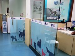 -宠颐生猫科·内科皮肤科(西平世纪城店)