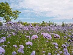 -杭州城北体育公园