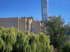 -团结湖公园