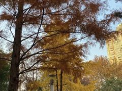 -苏州河梦清园环保主题公园