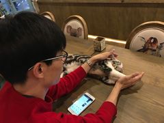 -共舞时光猫咖·狗咖(新街口店)