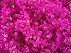 -石家庄正定国际机场-T2航站楼