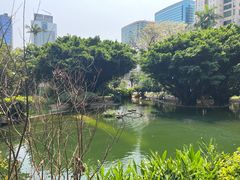 -九龙公园