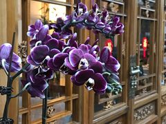 -北京古城老院厉晓麟精致菜