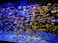 -成都浩海立方海洋公园