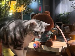 -咖法森林·咖啡  酒吧(天河店)