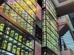 -广东中医药博物馆