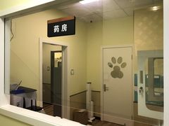 -派联宠物医院·24h·CT·异宠