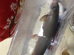 特色藿香鱼-老字号怡玺·藿香雅鱼(20年雅安店)