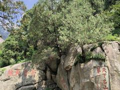 -泰山风景名胜区