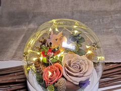 -金陵之星大酒店·中餐厅