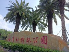 -宝安西湾红树林湿地公园