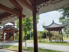 -广州神农草堂中医药博物馆