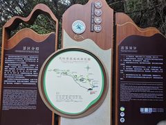 -重庆云阳龙缸景区