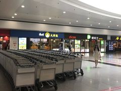 -上海浦东国际机场-T2航站楼