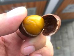 -阿男野栗王(金门路店)