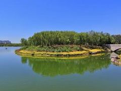 -大兴滨河森林公园