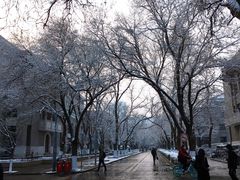 -北京大学百年讲堂