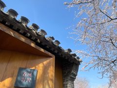 -春风习习