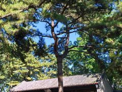 -承德避暑山庄景区