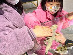 -FAIRYLAND龙族星球主题餐厅(凯丹广场店)