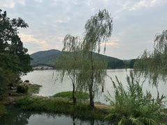 -长广溪湿地公园