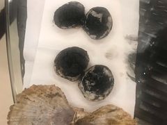 -四海鲜渔家菜(黄金海岸店)