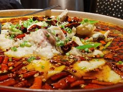 龙胆石斑鱼-滋色臻选川菜(北京坊旗舰店)