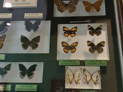 -上海昆虫博物馆