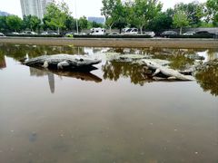 -泰丰公园