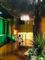 -奇幻丛林(佛罗伦萨小镇店)