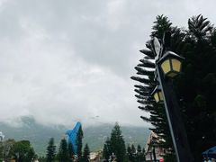 -珠海长隆海洋王国