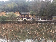 -韶山毛泽东同志故居