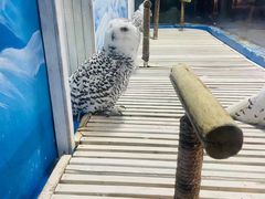 -成都浩海立方海洋公园