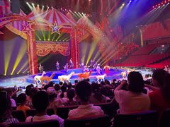 -珠海横琴长隆《卡卡虎奇遇记》