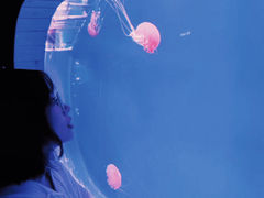 -南昌海洋公园