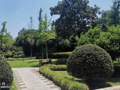 -月湖公园