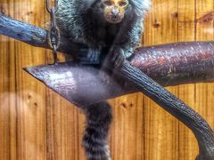 iphone_upload_pic-上海昆虫博物馆