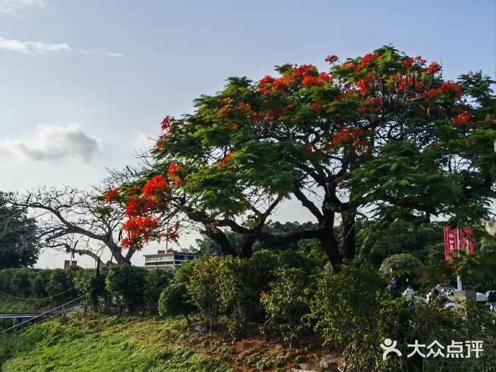 洛阳桥图片