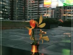 -凤凰湘语·湘粤鲜融(浦东旗舰店)