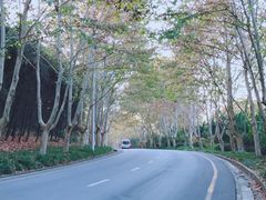 -紫金山天文台