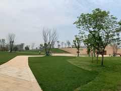 -盘龙城国家考古遗址公园